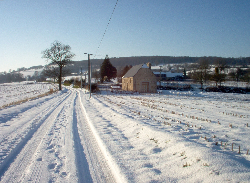 20100108 LE MÉNAGE 01.jpg - IM000471.JPG